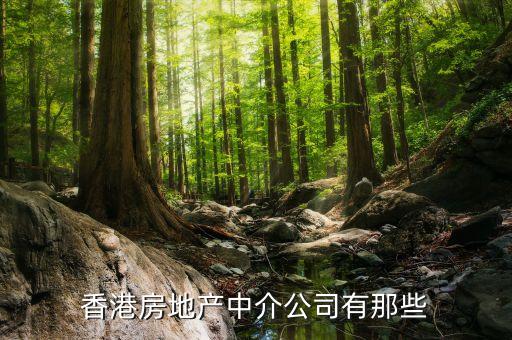房地產(chǎn)經(jīng)紀在香港叫什么，香港房地產(chǎn)中介公司有那些