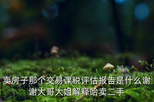 交易課稅是什么意思，名詞解釋證券交易稅
