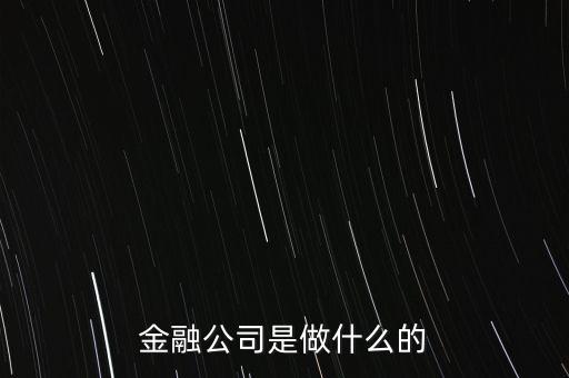 美國(guó)住宅金融公司是干什么的，房地美和房利美在美國(guó)算什么性質(zhì)的金融機(jī)構(gòu)