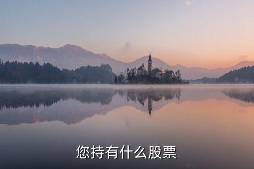 樊淑珍持有什么股，香港中央代理人持有哪些股票