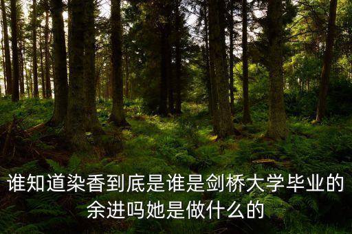 麥肯錫合伙人是什么，誰知道染香到底是誰是劍橋大學畢業(yè)的余進嗎她是做什么的