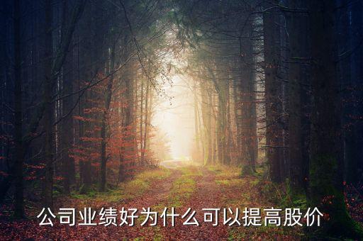 股份公司賺錢股票為什么會(huì)升值，公司業(yè)績(jī)好為什么可以提高股價(jià)