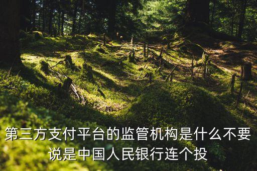 第三方支付平臺由什么機構(gòu)授權(quán)，第三方支付平臺的監(jiān)管機構(gòu)是什么不要說是中國人民銀行連個投