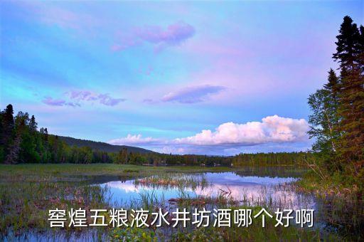 水井坊的高端品牌是什么，水井坊在哪買的好