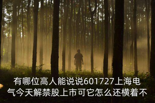 601727上海電氣為什么停牌，上海電氣股票今天怎么不漲