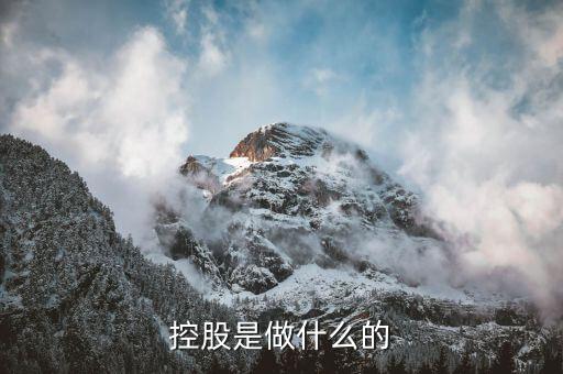 第一德勝控股是做什么的，廣東德勝電廠的控股防是那個公司