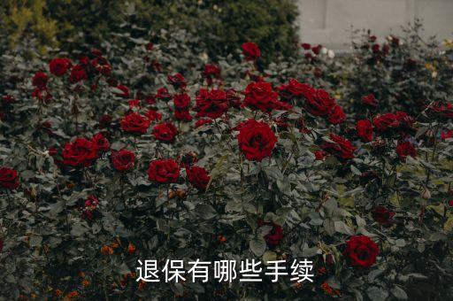 保險(xiǎn)退保需要什么手續(xù)，如何辦理退保手續(xù)