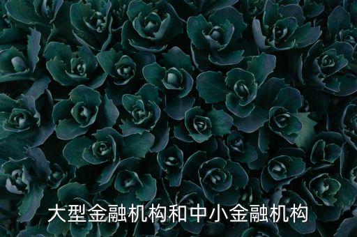 什么是中小金融機(jī)構(gòu)，大型金融機(jī)構(gòu)和中小金融機(jī)構(gòu)