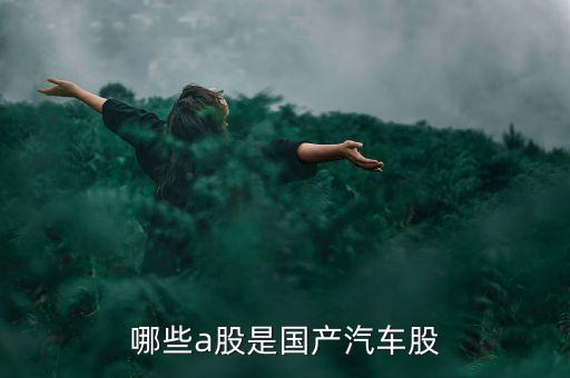 國(guó)什么汽車(chē)股票代碼是6多少，哪些a股是國(guó)產(chǎn)汽車(chē)股