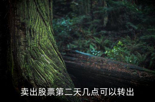 股票賣(mài)了錢(qián)什么時(shí)候可以轉(zhuǎn)出，股票成功賣(mài)出后多長(zhǎng)時(shí)間可以從帳戶(hù)轉(zhuǎn)出資金
