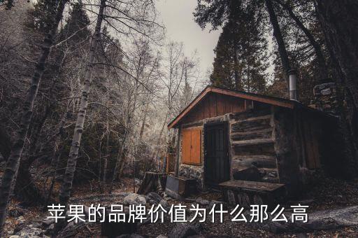蘋果市值為什么那么高，蘋果的品牌價(jià)值為什么那么高