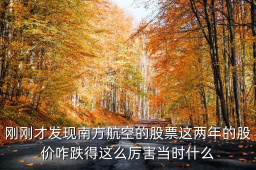 南航美股是什么意識(shí)，海南航空股票前帶lr300什么意思