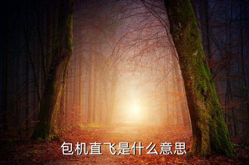 什么是包機(jī)航班，包機(jī)直飛是什么意思