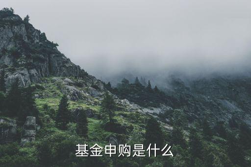 基金申購(gòu)什么意思，基金支取基金申購(gòu)什么意思