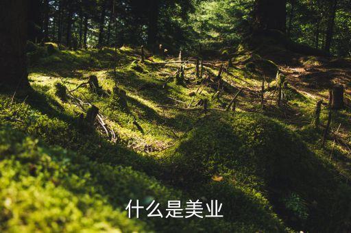 美業(yè)集團是什么行業(yè)，什么是美業(yè)