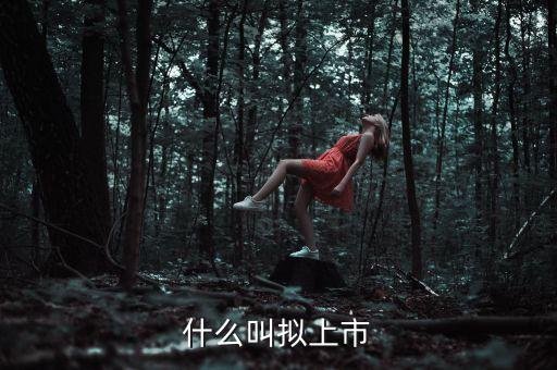 什么叫擬上市，什么是擬上市