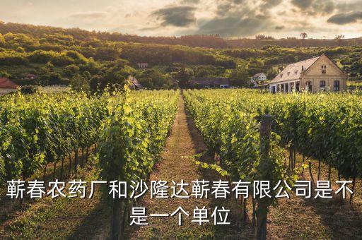 蘄春汪潮涌投資了什么，蘄春農(nóng)藥廠和沙隆達(dá)蘄春有限公司是不是一個(gè)單位