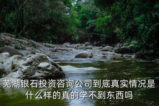 伯威控股是什么，威凌控股公司是做什么的