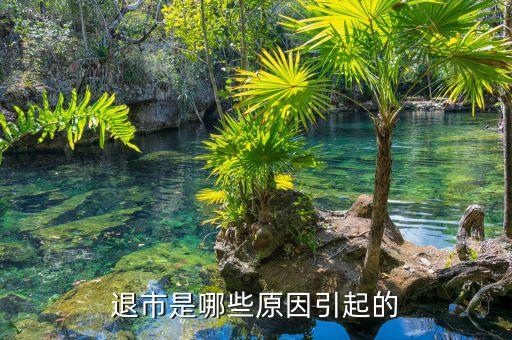 弘成教育為什么退市，至今為止上市公司還沒有一個真正破產(chǎn)清算的吧退市和重整的不算