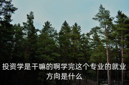 什么是投資學(xué)，上海財(cái)經(jīng)大學(xué) 公共經(jīng)濟(jì)與管理學(xué)院的 投資學(xué) 學(xué)的是什么