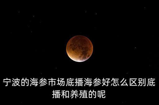 什么是底播海參，底播海參和非底播海參有什么區(qū)別