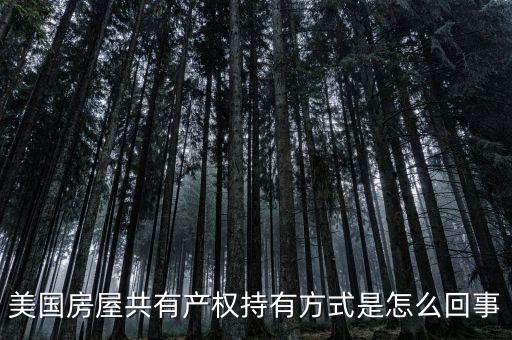 什么是共有產(chǎn)權(quán)產(chǎn)權(quán)模式，美國(guó)房屋共有產(chǎn)權(quán)持有方式是怎么回事