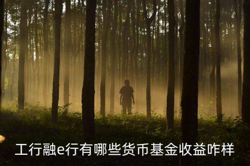工行網(wǎng)銀有什么貨幣基金，工行融e行有哪些貨幣基金收益咋樣