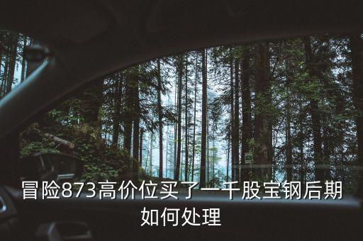 為什么大寧板塊房價(jià)瘋漲，8月11日房地產(chǎn)板塊漲幅領(lǐng)頭的原因
