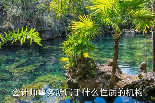 鄭商所期衍所屬于什么性質(zhì)，會計師事務(wù)所屬于什么性質(zhì)的機(jī)構(gòu)