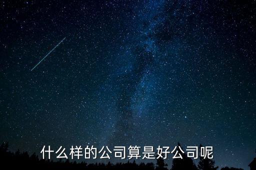 什么樣的公司是比較好的，有什么樣的公司是比較好的