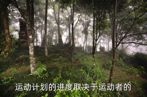 進(jìn)度安排的靈活性是什么決定，運(yùn)動(dòng)計(jì)劃的進(jìn)度取決于運(yùn)動(dòng)者的