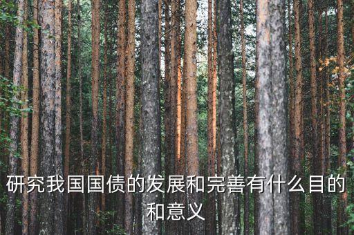 為什么要關(guān)注和研究公債問題，研究我國國債的發(fā)展和完善有什么目的和意義
