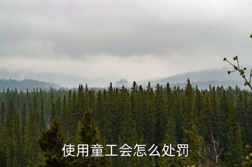 勞動法中用童工有什么懲罰，使用童工會怎么處罰