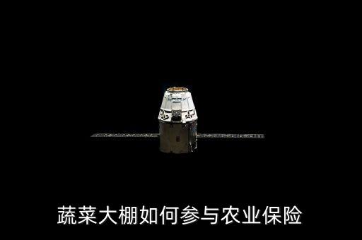 種大棚買(mǎi)保險(xiǎn)陪什么，蔬菜大棚入保險(xiǎn)請(qǐng)問(wèn)入哪一類(lèi)保險(xiǎn)