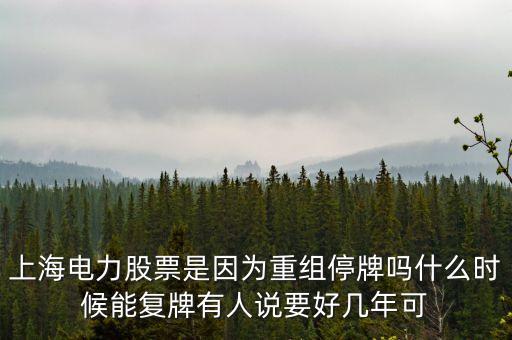 上海電氣什么時間復(fù)牌，上海電力股票是因為重組停牌嗎什么時候能復(fù)牌有人說要好幾年可