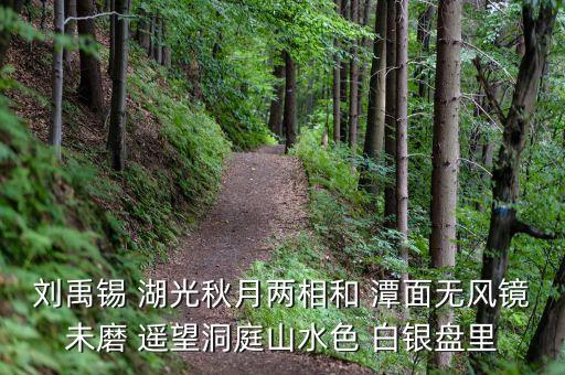 君山股份是做什么，劉禹錫 湖光秋月兩相和 潭面無風(fēng)鏡未磨 遙望洞庭山水色 白銀盤里
