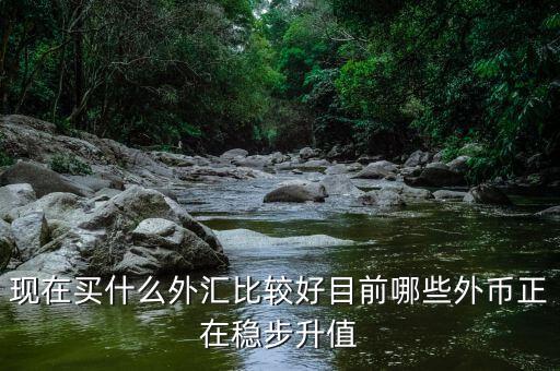 近期買什么外匯，預(yù)測人民幣匯率走勢是怎樣的 炒外匯現(xiàn)在買哪對外匯比較好