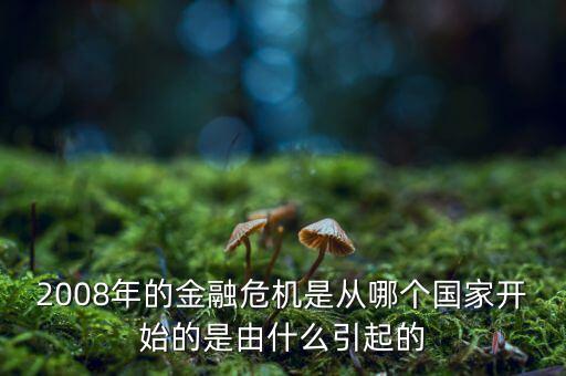這一次的金融危機發(fā)端于什么，請問這次金融風暴的起始是什么樣的具體的原因