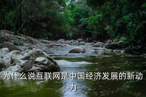 為什么說互聯(lián)網是中國經濟發(fā)展的新動力