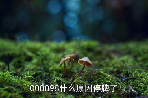 皇氏乳業(yè)為什么停牌，000009今天為何停牌