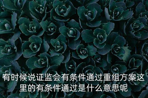 重組項目過會是什么意思，資產(chǎn)重組獲股東大會高票通過什么意思