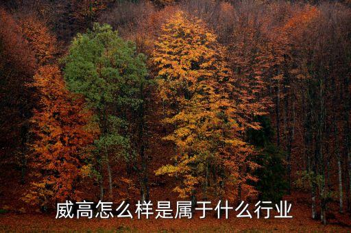 威孚高科屬于什么行業(yè)，威高怎么樣是屬于什么行業(yè)