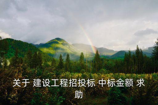 中標(biāo)金額是什么，關(guān)于 建設(shè)工程招投標(biāo) 中標(biāo)金額 求助