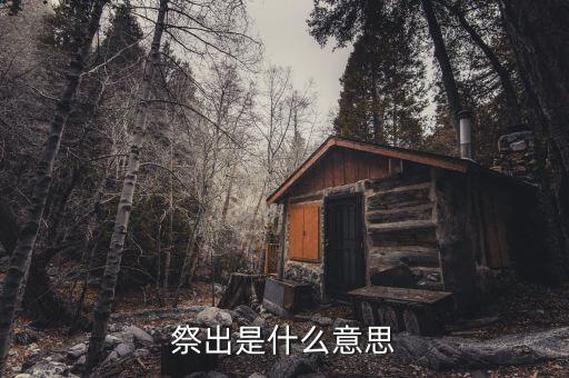 祭出重拳什么意思，重拳是甚么意思