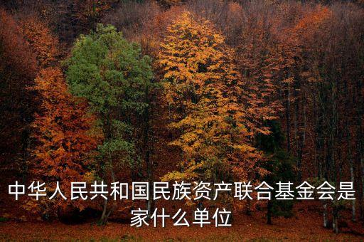 anc基金會(huì)是什么，中華人民共和國(guó)民族資產(chǎn)聯(lián)合基金會(huì)是家什么單位