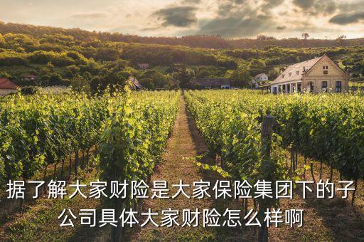 大財子公司全稱是什么，大財子什么意思哦
