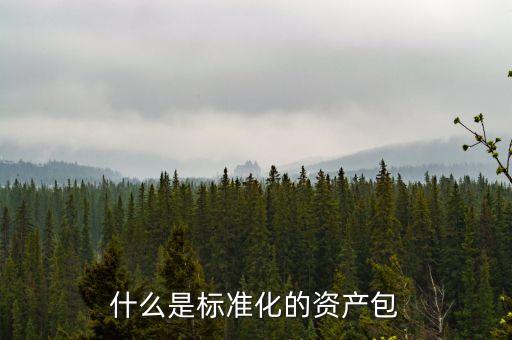 什么屬于標準化資產(chǎn)，標準化資產(chǎn) 什么是標準化資產(chǎn)