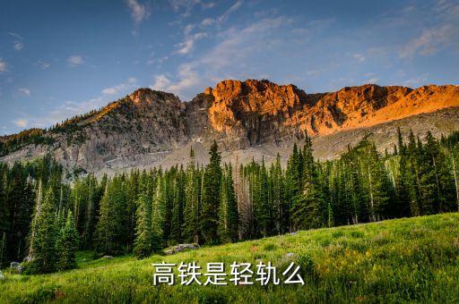 中國(guó)高鐵鐵軌叫什么，高鐵是輕軌么
