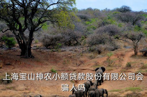 上海神農(nóng)小額貸款公司經(jīng)理叫什么，上海寶山神農(nóng)小額貸款股份有限公司會(huì)騙人嗎