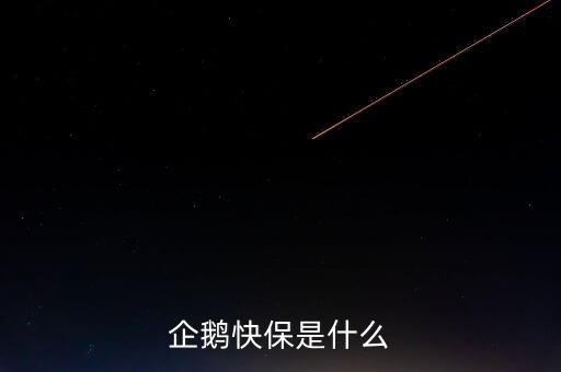 快保保險(xiǎn)是什么公司，企鵝快保是什么